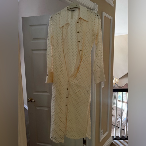 Zara Eyelet Midi dress - Picture 3 of 8